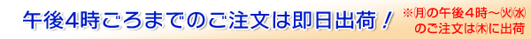 �A�C�A���o��������̂��m�点