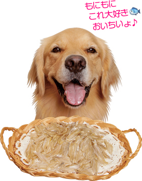 ヒメゴせんべい 犬のおやつ